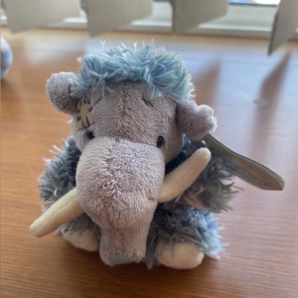 teddy blue nose bear